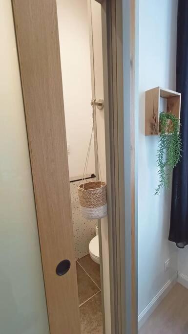Appartement Le Raffine à Millau Extérieur photo